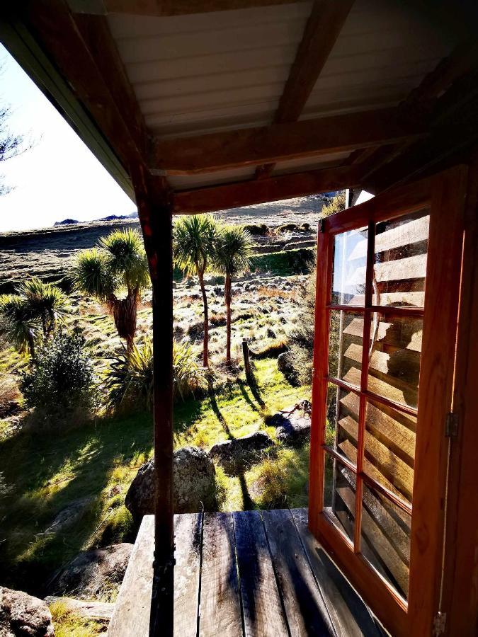 Manaaki Mai, Rustic Retreat Bush Cabin Christchurch Exterior foto